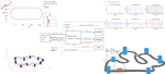 Learning NMPC with Q-Learning-Reinforcement Learning algorithm